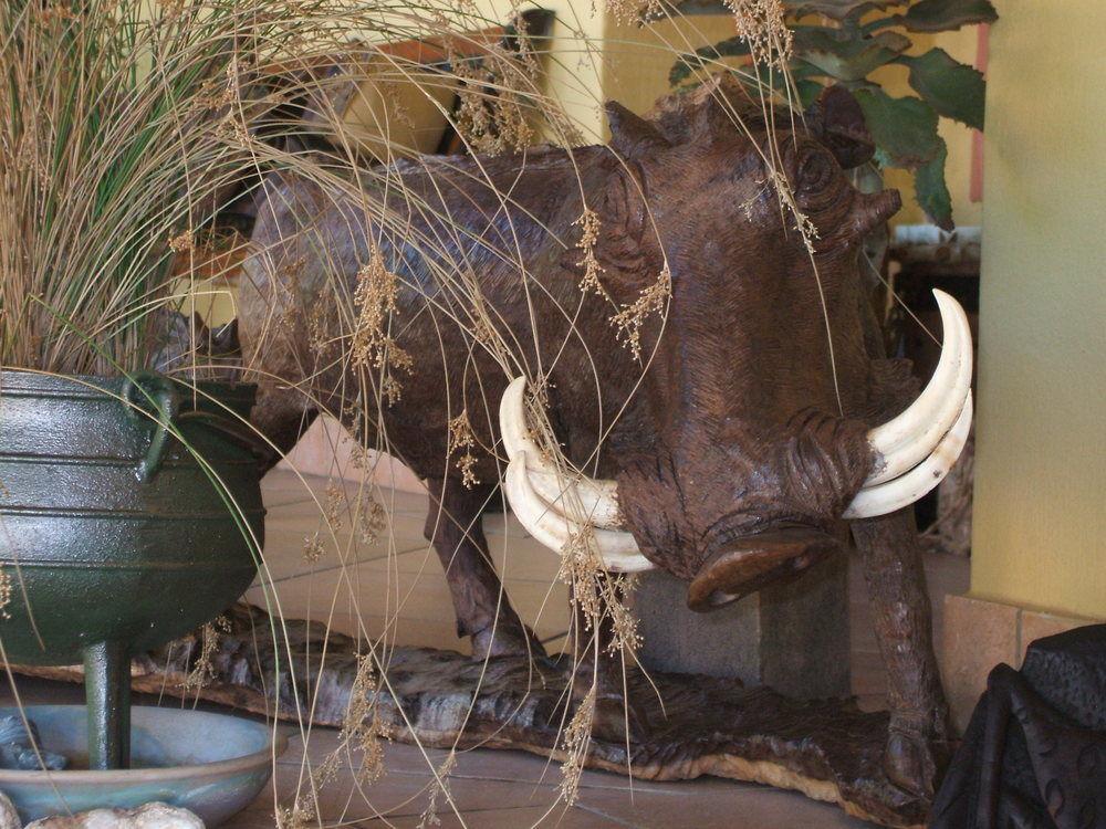 林登樱桃树小屋民宿 约翰内斯堡 外观 照片